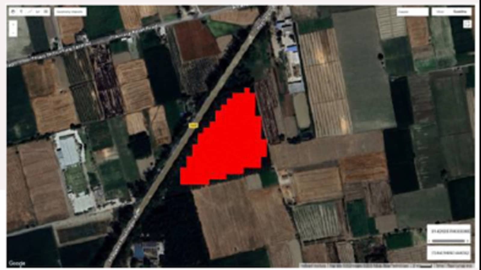 Forest Survey of India stops its AI-based fortnightly alerts to states on deforestation 