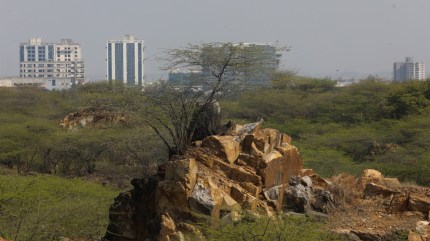 Supreme Court, 100-m Aravalli rule, Aravallis, Aravallis hills, Supreme Court accepted govt’s 100-m Aravalli rule, Indian express news, current affairs