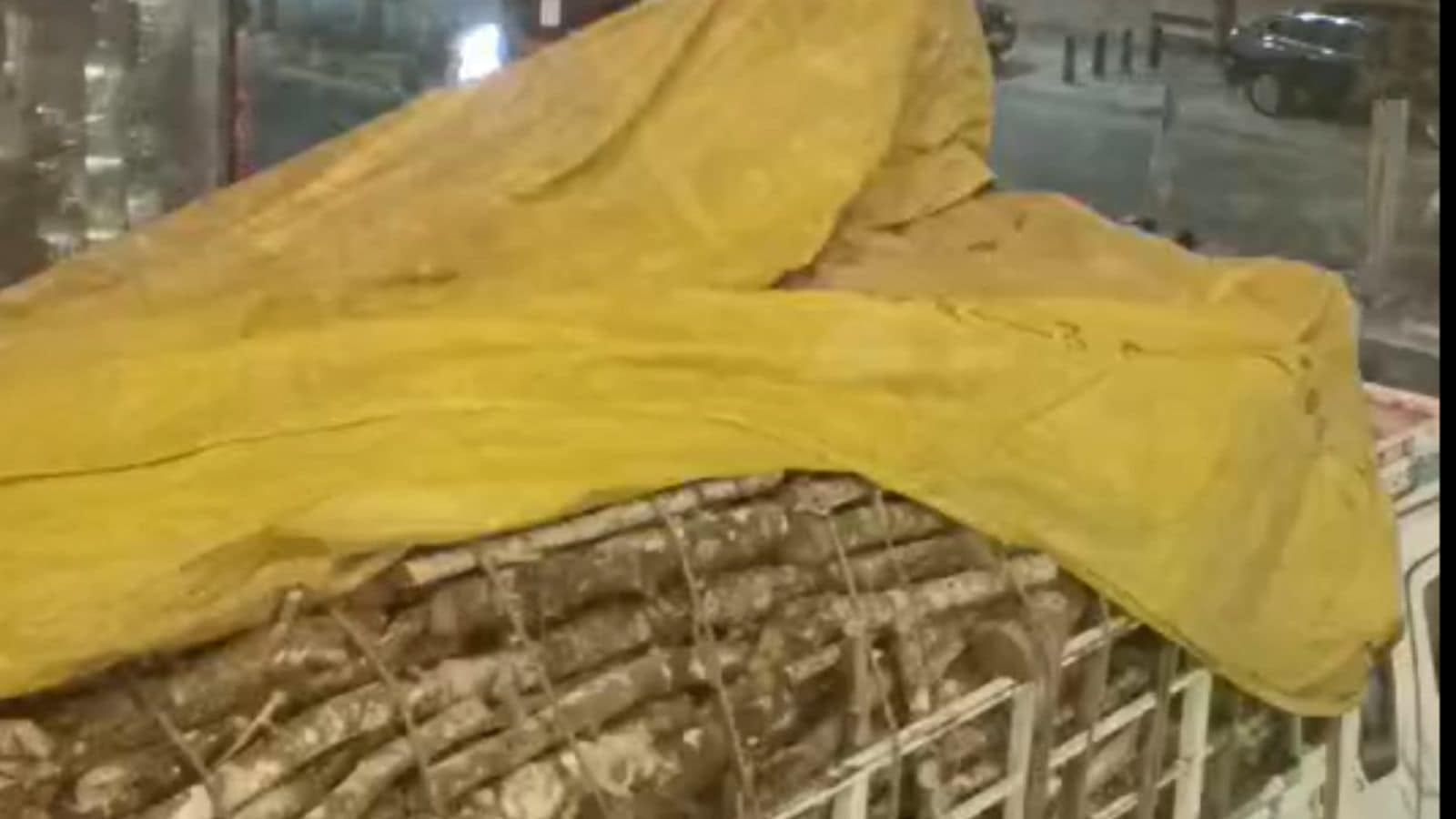 The Art of Baking: From Classic Bread to Artisan Pastries