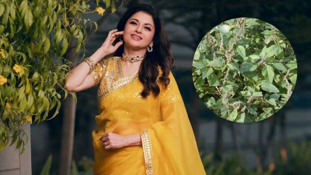 Bhagyashree’s Secret Immunity Superfood: Why Amaranth Leaves are Your Best Defense Against Pollution