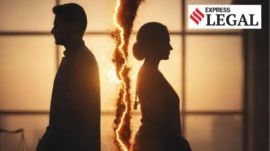 Chhattisgarh High Court marriage scheduled tribe hindu marriage act