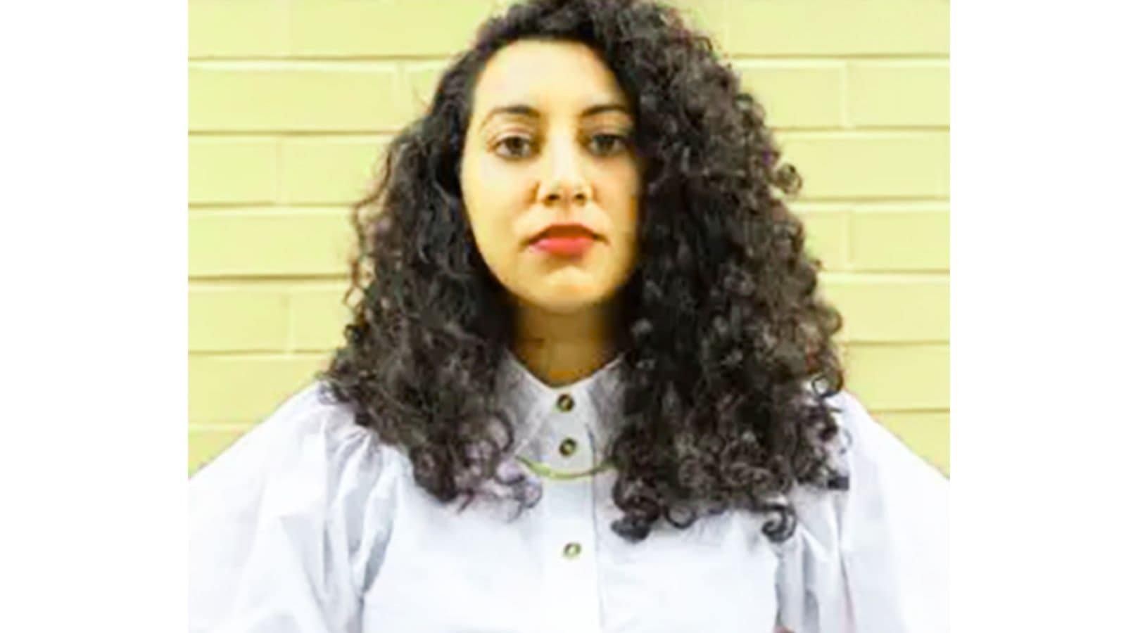 Indian-origin curator Diya Vij appointed New York City’s next Commissioner of Cultural Affairs