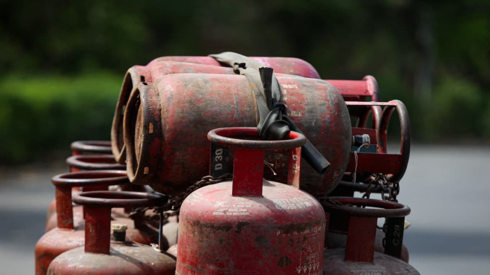 Distribution companies incentivise switch from LPG to PNG
