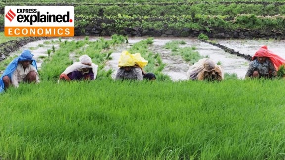 While the risk to farmers’ income can cause significant distress, loan waivers, which often occur around elections, are “not the panacea to address the underlying risks”, according to the RBI.