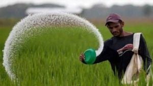 We need a green exit from the urea trap; monsoon; fertiliser
