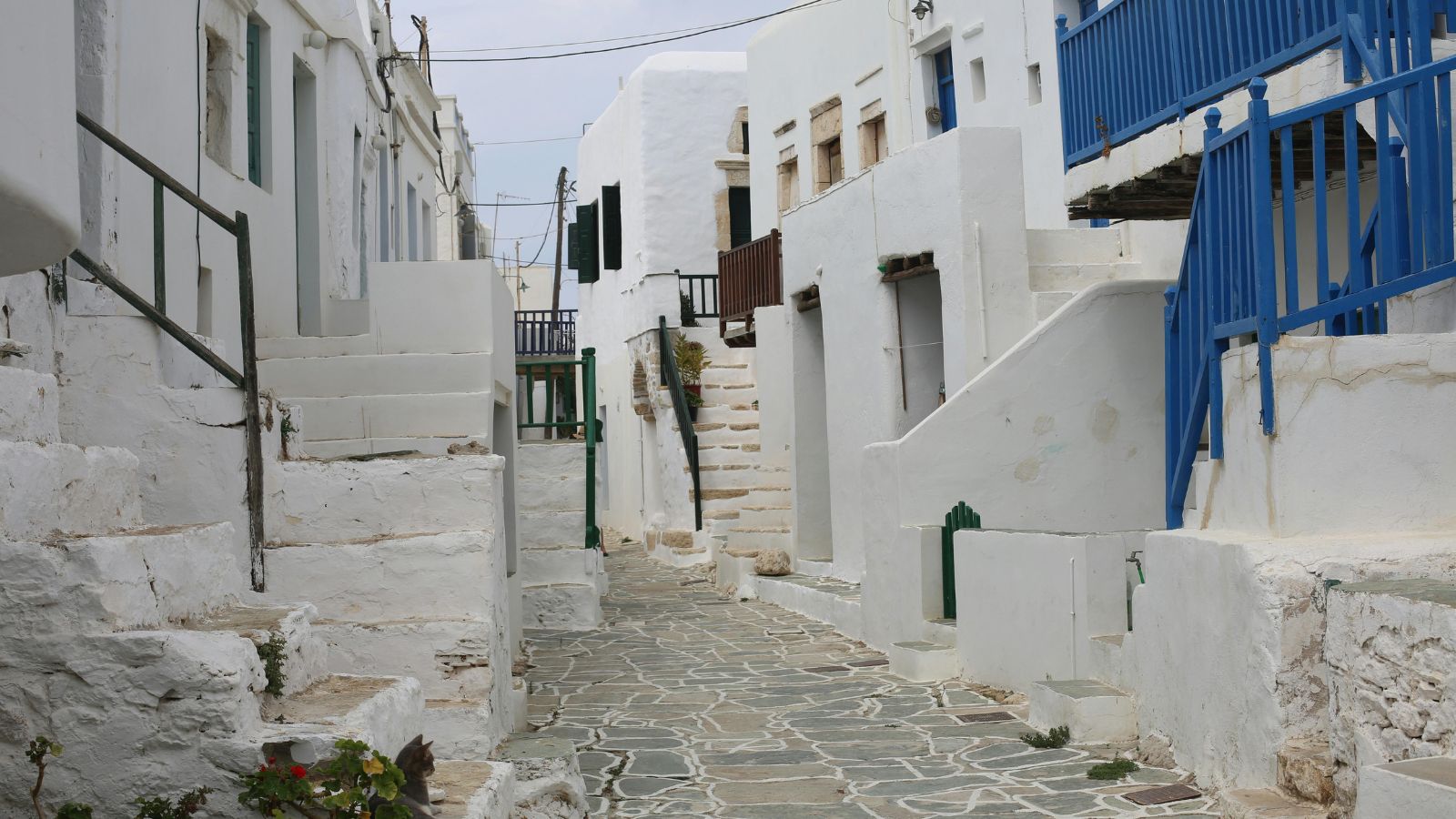 The Art of Baking: From Classic Bread to Artisan Pastries