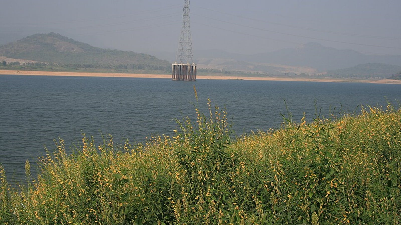 3 engineering students drown in Godavari river, 2 others missing as group outing turns tragic in Andhra