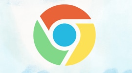 According to Google, the AI model may automatically uninstall itself if a device is running low on resources. (Image: Express Image)