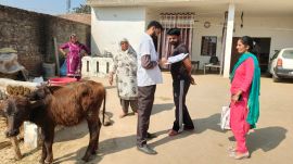 Ferozpur water contamination