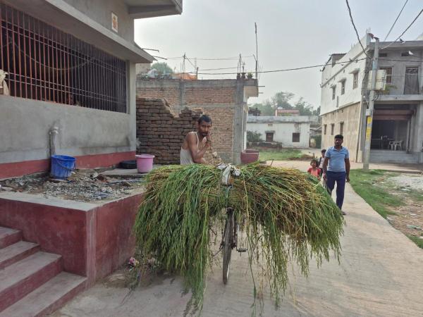 India New Zealand final match scuffle, teen death after fight over world cup match, India New Zealand final match fight, T20 world Cup, teen dies after fight over world cup match, Indian express news, current affairs