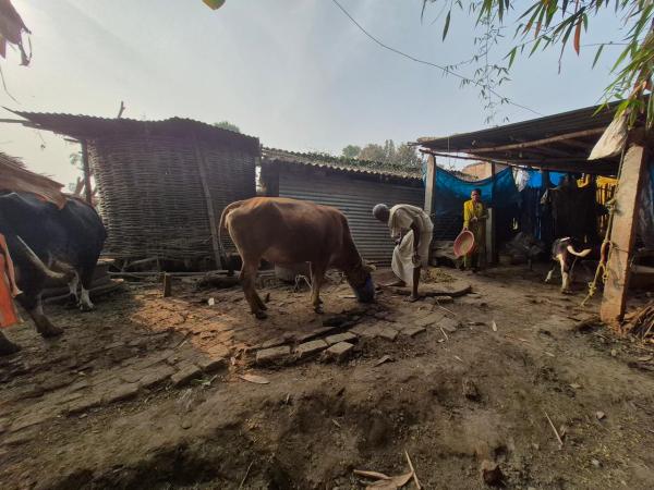 India New Zealand final match scuffle, teen death after fight over world cup match, India New Zealand final match fight, T20 world Cup, teen dies after fight over world cup match, Indian express news, current affairs