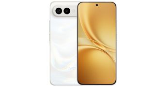 Vivo X300 FE