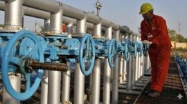 According to a statement released by the Palghar Collector, the leakage began around 2 pm from a 2,500 litre oleum storage tank at the unit, which was earlier operating under the name Zealot Chemicals.