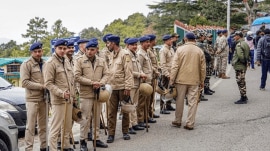 The spokesperson said the action was taken under the statewide 'Anti-Chitta' Campaign to eradicate the drug menace and achieve the goal of a “Chitta-Free Himachal”.