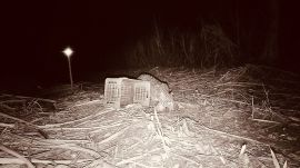 Three days later, Patel noticed that the leopard cubs had been taken away from the spot by their mother and the sugarcane harvesting work resumed from the fourth day.