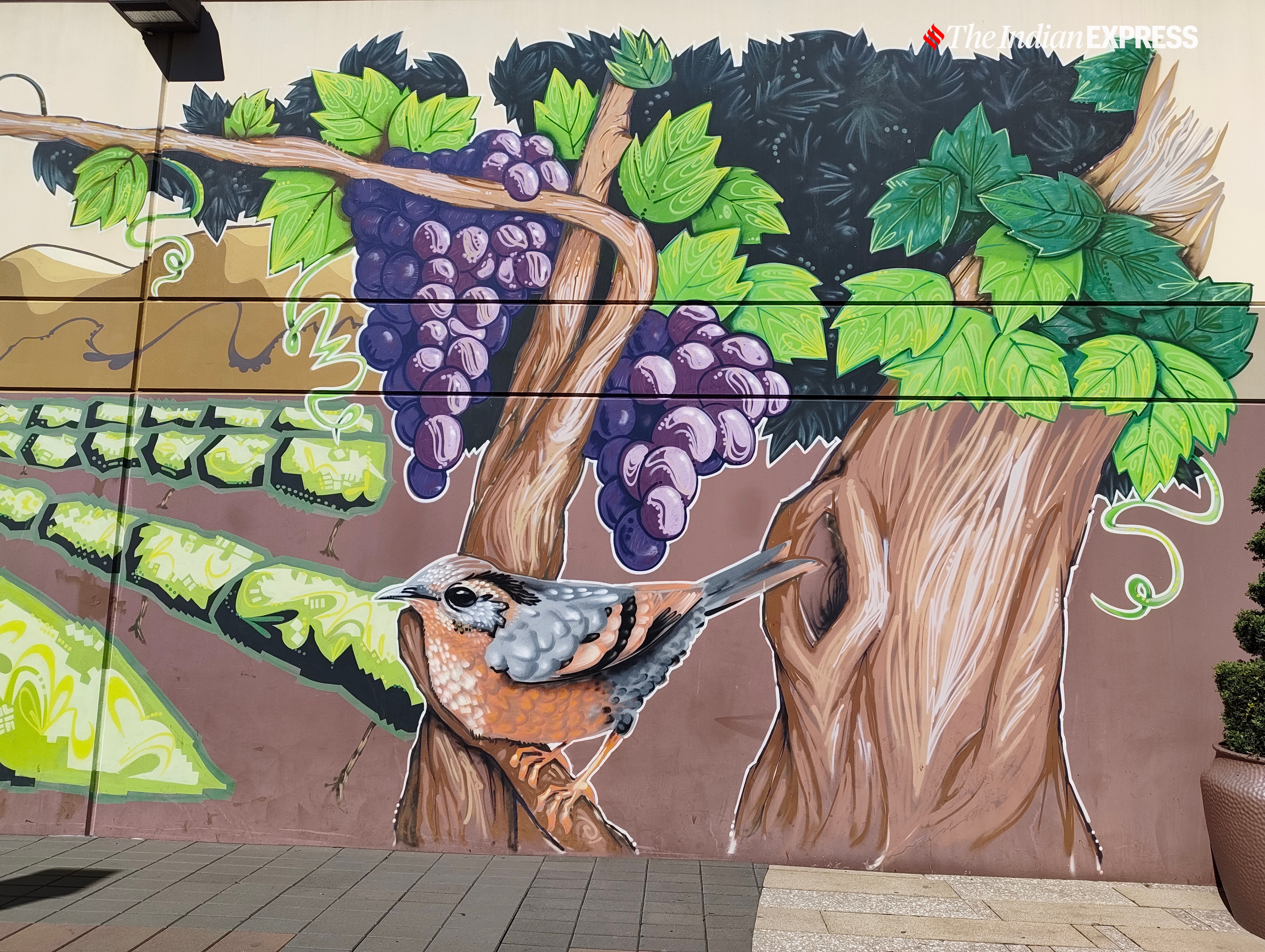 Image Sample (Image: The Indian Express/ Anuj Bhatia)