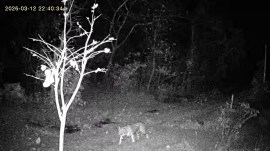 Image captured by camera installed