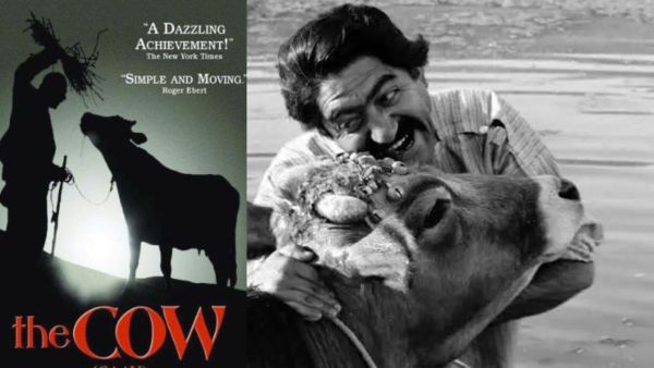 Iranian movie The Cow