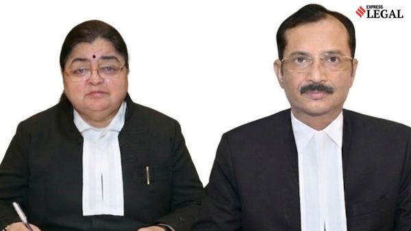 Justices Rajani Dubey and Radhakishan Agrawal chhattisgarh high court