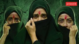 The Kerala High Court was severely critical of certain remarks in the public interest litigation filed by a retired teacher-cum-social activist and a lawyer.