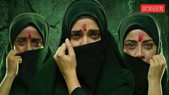 The Kerala High Court was severely critical of certain remarks in the public interest litigation filed by a retired teacher-cum-social activist and a lawyer.