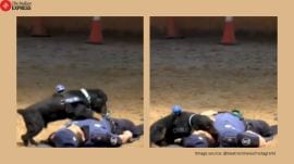 Madrid police dog Paco CPR video