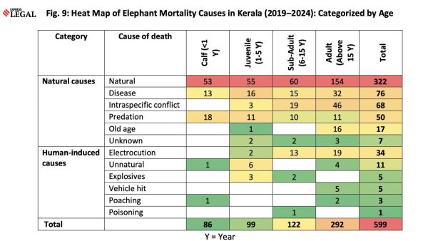 Out of the 744 deaths recorded, 77 were classified as human-induced, the report said. 