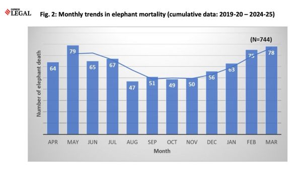 The report recommended several targeted interventions, including Mission FFW (Food, Fodder & Water): Dry-season habitat restoration and artificial water provisioning. 