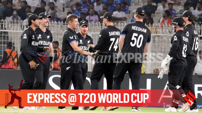 T20 World Cup: Long-time weak New Zealand finally have no complaints about missing chances in the big final