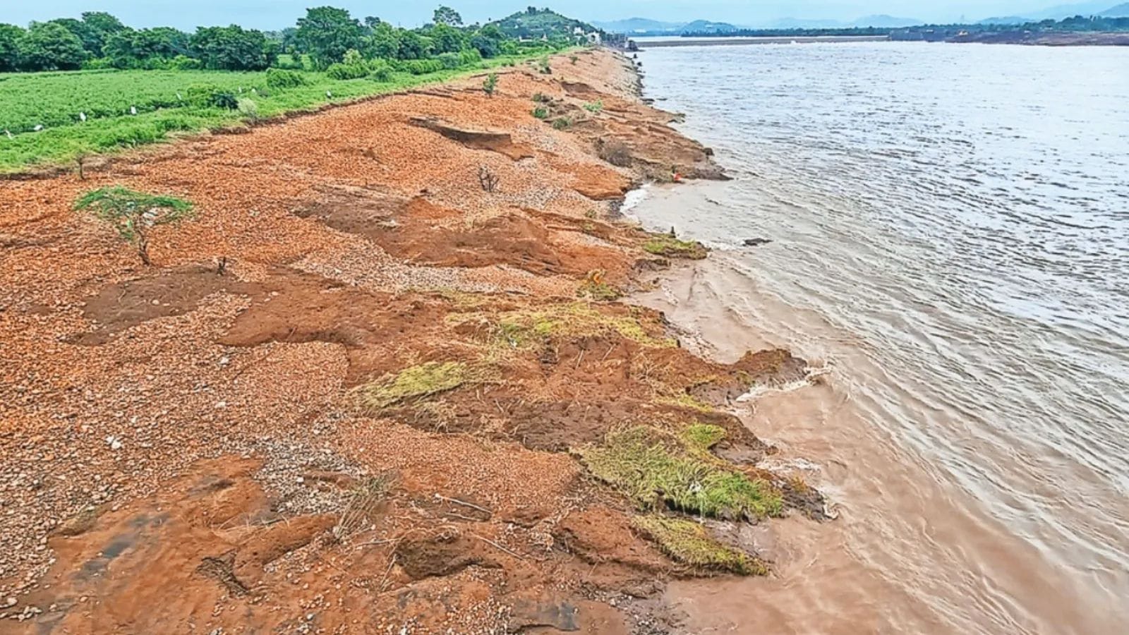 Body of man washed away in Narmada Canal found