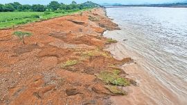 According to the police, Vasava, along with his friends, had gone for a dip in the Narmada Canal on March 1, when he slipped and was swept away in the canal.