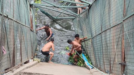 North Delhi foot overbridge collapse leaves elderly woman dead, rescue operation underway