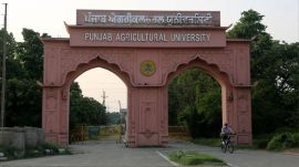 The mela will also convene live demonstrations on nursery raising techniques, micro-irrigation park, nutrition garden model and drone spraying technology.