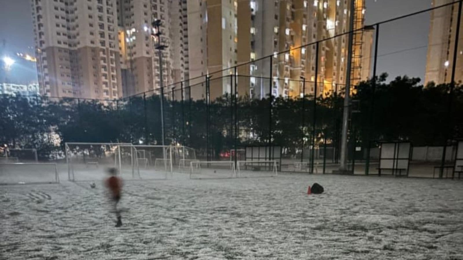 The Art of Baking: From Classic Bread to Artisan Pastries
