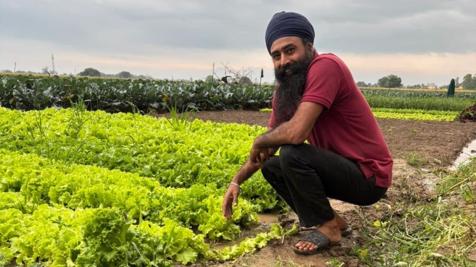 Back to his roots, but not tradition: 42-yr-old rewrites an exotic farming story