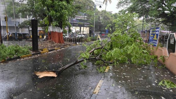 pune weather
