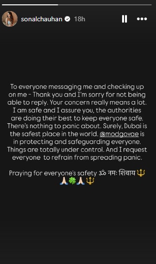 Sonal Chauhan's Instagram Story