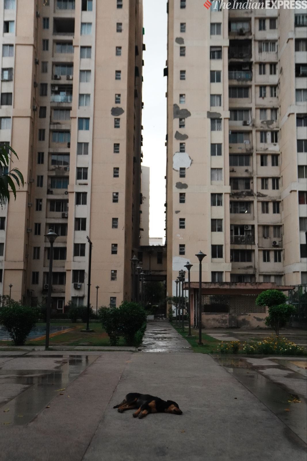 कैमरा नमूना 2