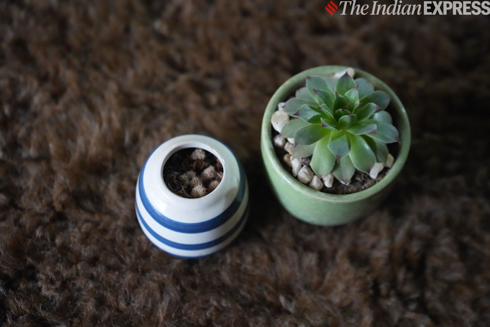 कैमरा नमूना 1