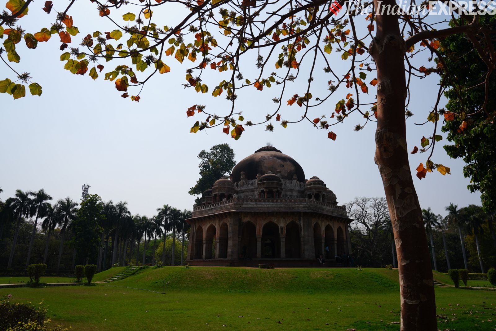 कैमरा नमूना 10