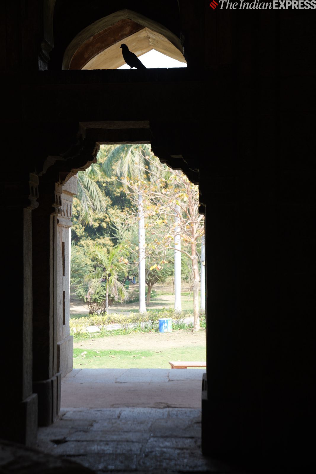 कैमरा नमूना 9