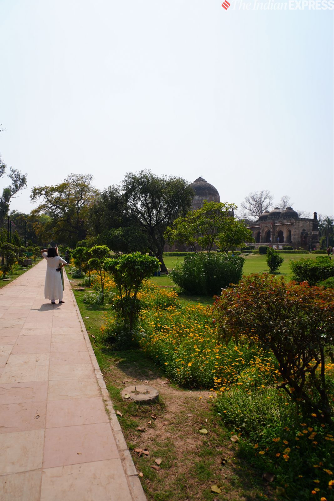 कैमरा नमूना 7