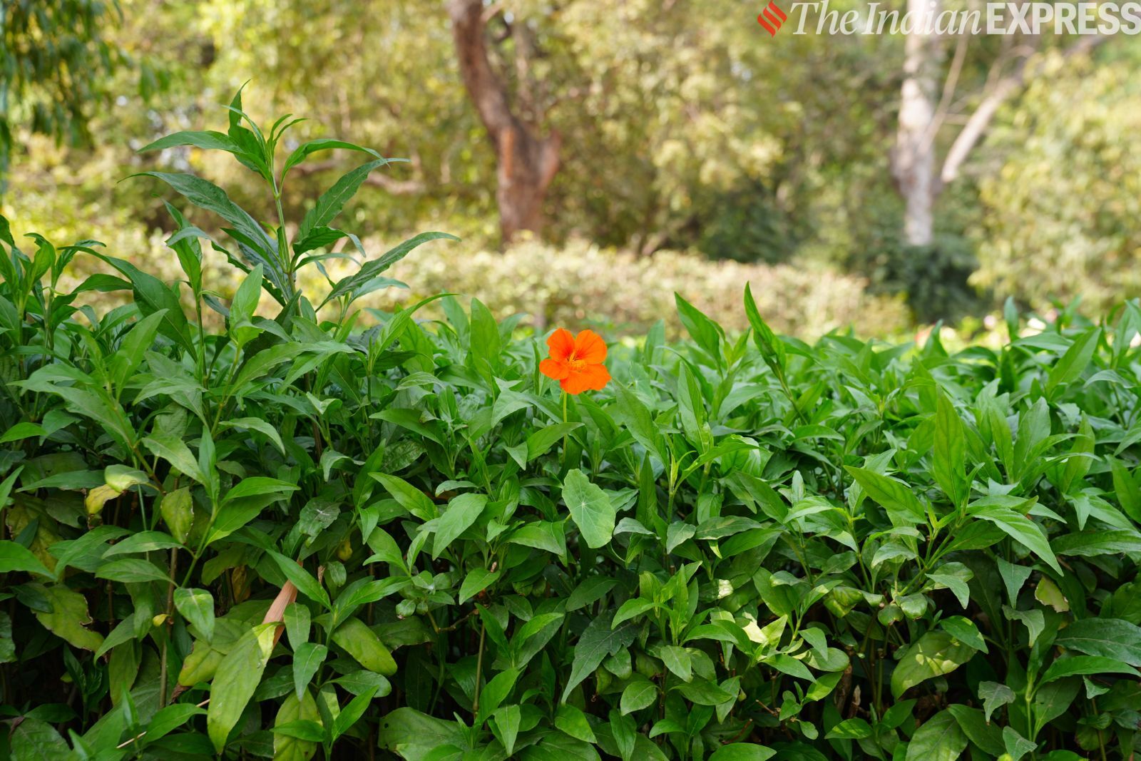 कैमरा नमूना 6