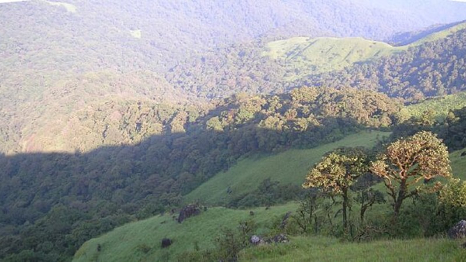 Places to visit in Coorg