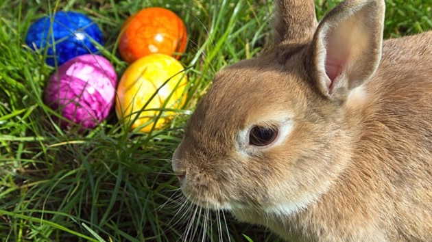 easter
