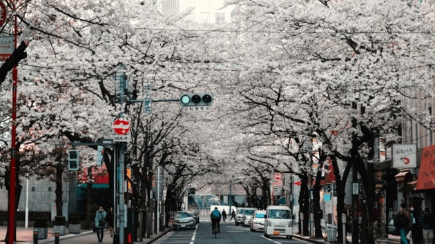 travel