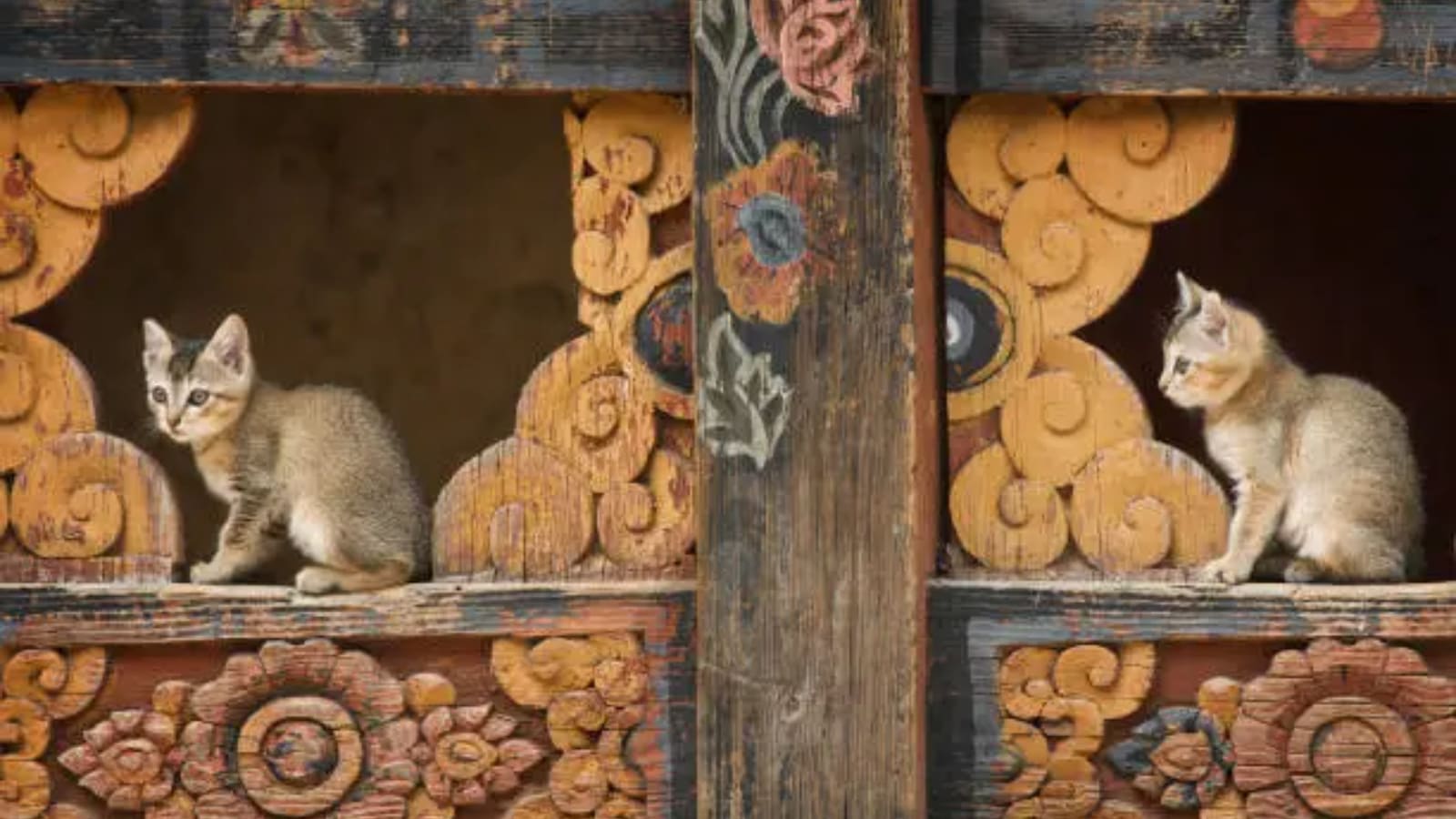 Breathtaking side of Bhutan you’ve probably never seen