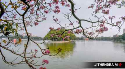 Ulsoor lake