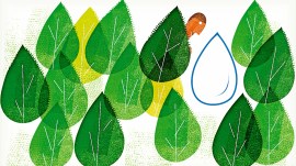 water challenge is stark, drinking water crisis, water supply, water supply crisis, water crisis, water governance, editorial, Indian express, opinion news, current affairs