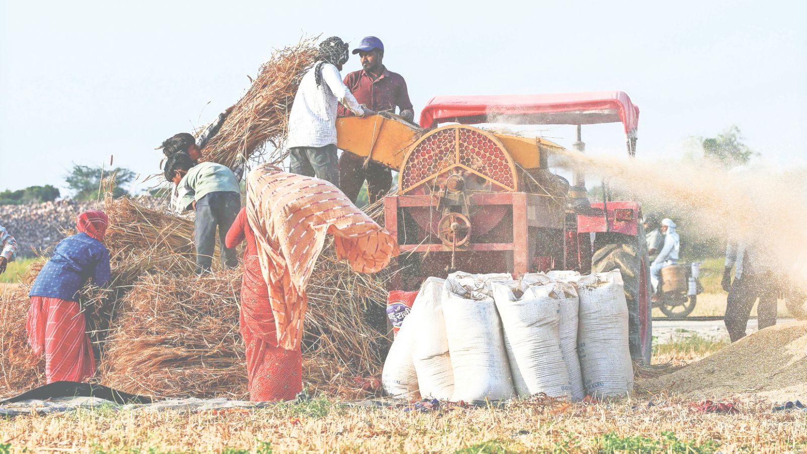 Wheat procurement in UP starts today, govt says 3,574 purchase centres already operational